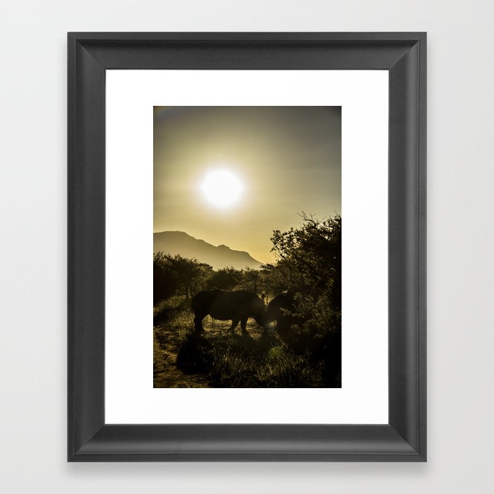 Rhino sunset Framed Art Print