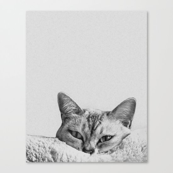 Minimalist grey cat Canvas Print