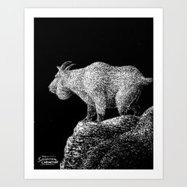Mountain Goat Pondering Art Print | Beautiful, Illustration, Animal, Mountaingoat, Scratchboard, Realistic, Drawing, Mountains, Nature, Ink Pen 