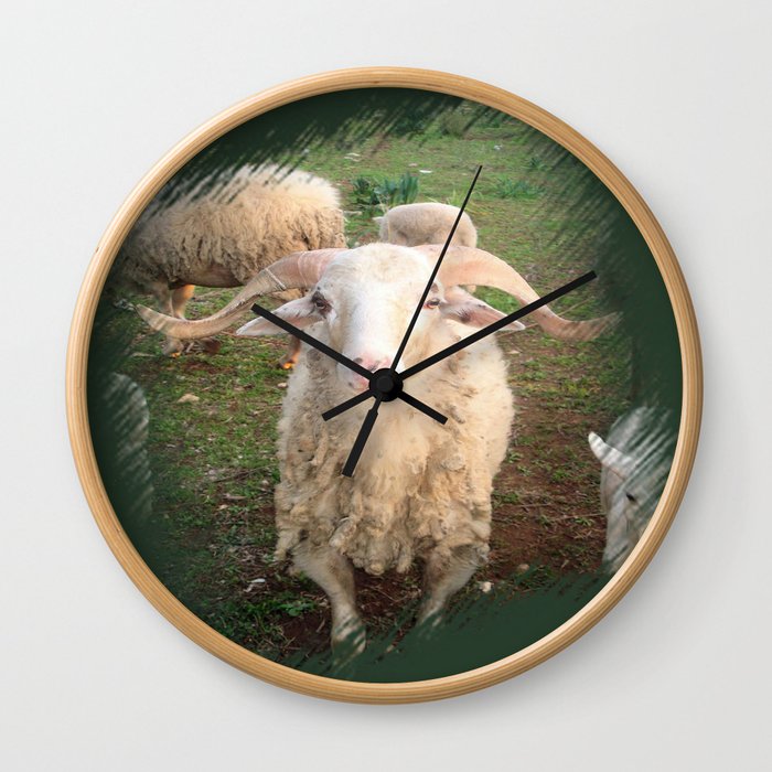 A Flock Of Sheep In A Rural Setting Wall Clock