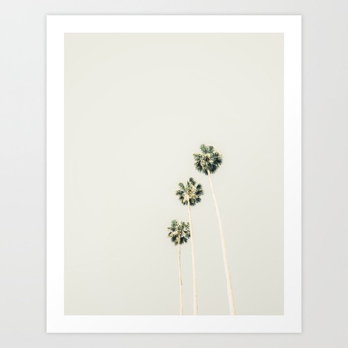 Palm Trees - Minimalist Palm Springs California Travel Photography Art Print