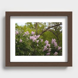 Lilac Dream Recessed Framed Print