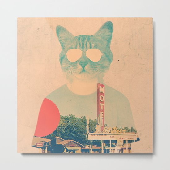 Cool Cat Metal Print