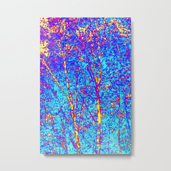 Birch Metal Print