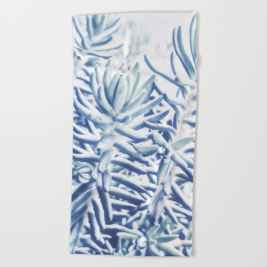 Sunday Morning Succulents Beach Towel