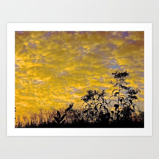 Evening Perfection Art Print