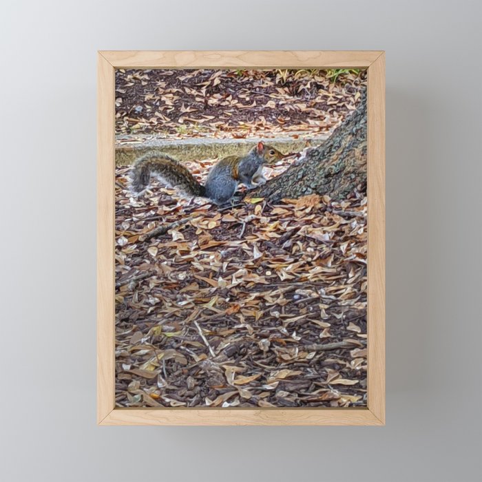 Squirrel at the base of the tree Framed Mini Art Print