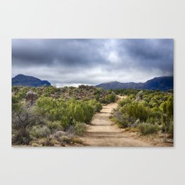 Road Less Travelled Canvas Print