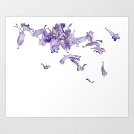 Purple Jacaranda Watercolor Art Print