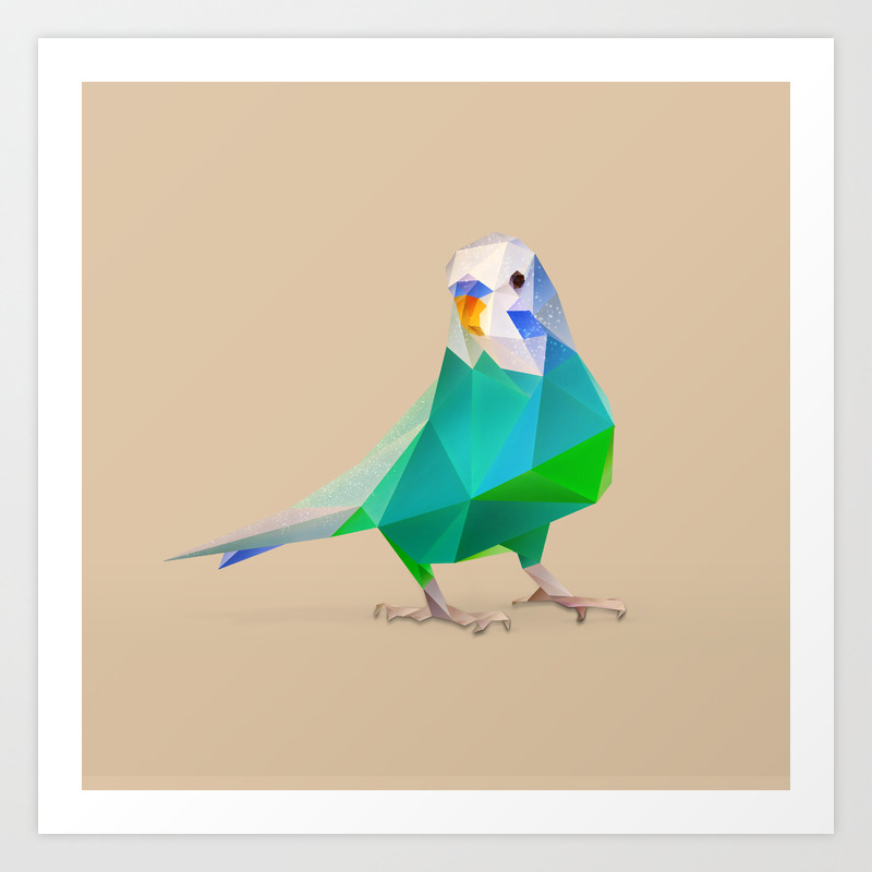 Parakeet Art Print By Diana D Achille Society6