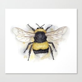 Botanical Bumblebee Canvas Print