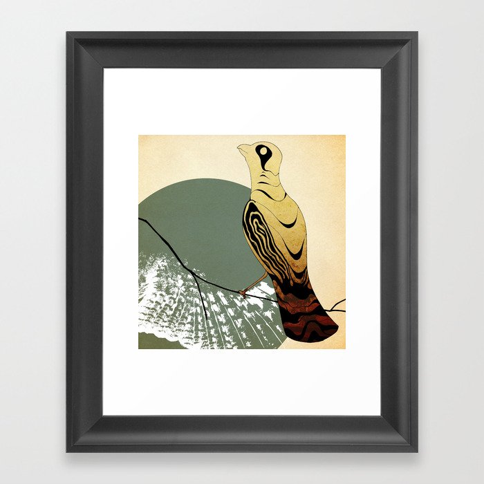 Aves Framed Art Print