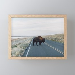 Bison Crossing Framed Mini Art Print
