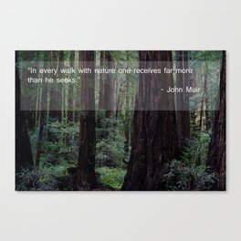 Muir Woods Quote 1 Canvas Print