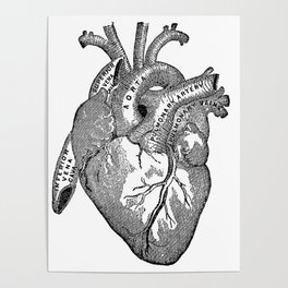 Vintage Anatomy Heart Poster