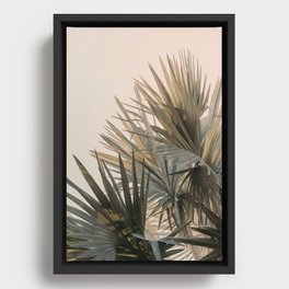 Palm Glow Framed Canvas