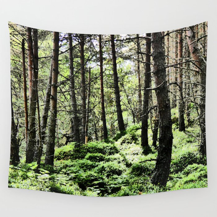 Scottish Highlands Bley Berries Amongst the Pine Trees in I Art  Wall Tapestry