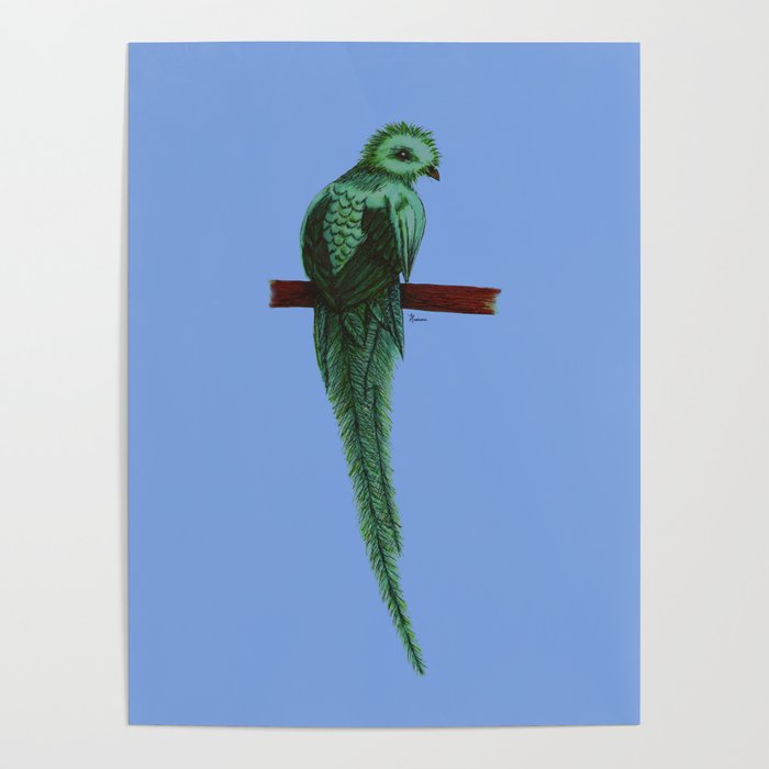 Quetzal Beauty Blue Poster