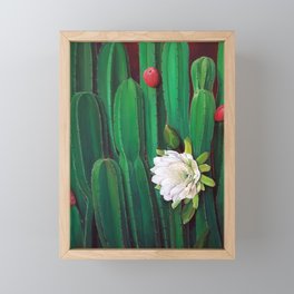 Cactus en Flor Framed Mini Art Print