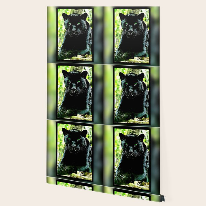 Big Cat Models Green Eyed Black Panther Wallpaper