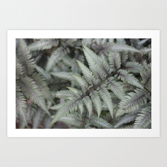 Fern Art Print