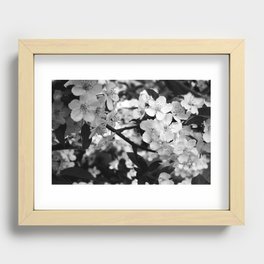 Bloom Recessed Framed Print