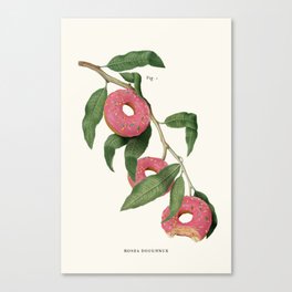 Donut Plant Canvas Print | Candy, Contemporaryart, Modernart, Plants, Curated, Botanicalstudies, Popart, Beige, Digital, Doughnut 