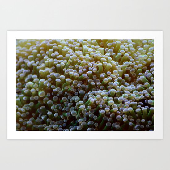 Arch Anemosis Art Print