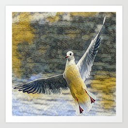 A seagull with open wings - artistic illustration design Art Print