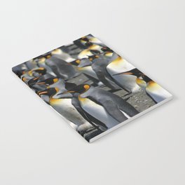 King Penguin Group Standing in a Row Notebook
