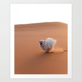 Dog running in the Sahara Desert in Morocco, Africa | Travel photography poster Art Print