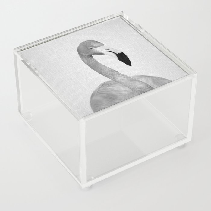 Flamingo 2 - Black & White Acrylic Box