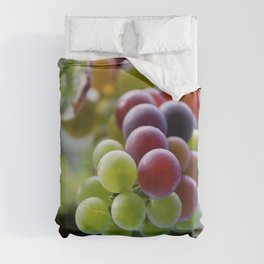 Grapes in Veraison  Duvet Cover