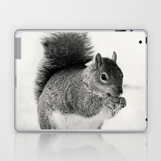 Squirrel Animal Photography Laptop & iPad Skin