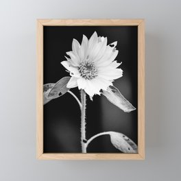 Sunflowers & Lady Bugs Framed Mini Art Print