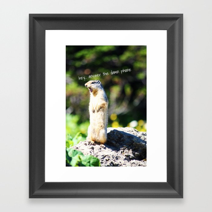 Angry Squirrel Framed Art Print