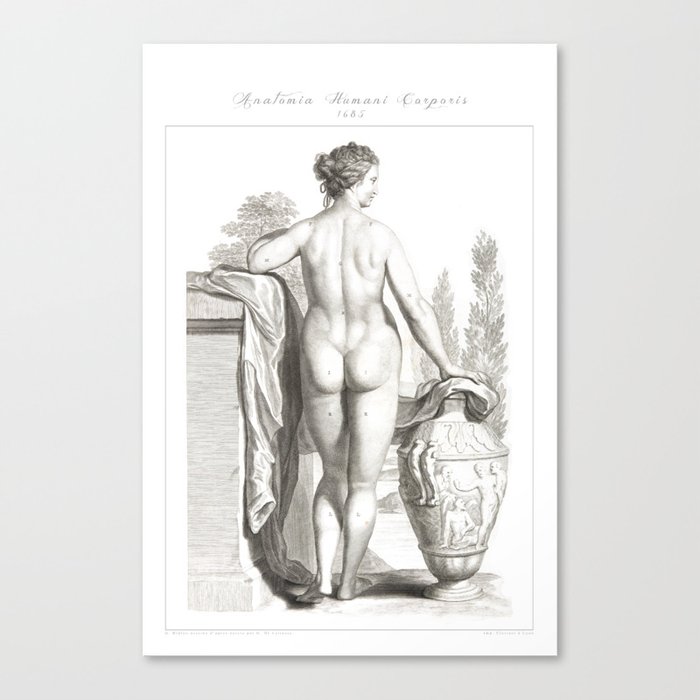 Human Body Diagram Female Back Human Anatomy