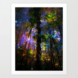 Forest of the Fairies Night Art Print
