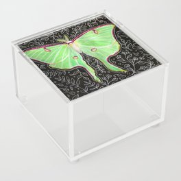 Lunar Moth Acrylic Box