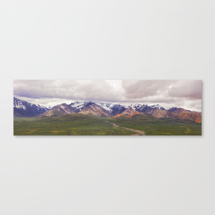 Denali national park panorama Canvas Print