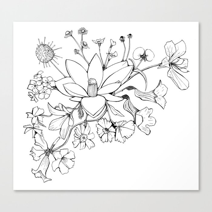 Native Florida Flowers Canvas Print By Certainslantsoflight Society6