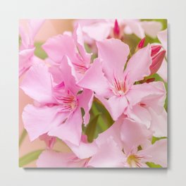 Effervescence Metal Print | Spring, Color, Vegetal, Effervescence, Pastel, Photo, Plant, Landscape, Bloom, Flowers 