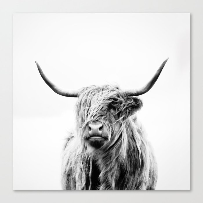 Portrait Of A Highland Cow Canvas Print By Doritfuhg Society6