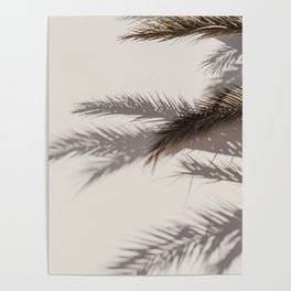 Palm Leafs Shadow Wall Poster