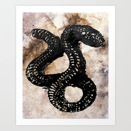 Fire Snake Art Print
