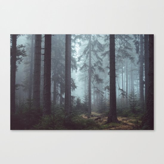magic forest Canvas Print