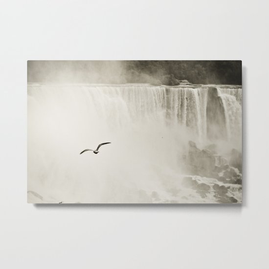 Flying over the Falls Metal Print