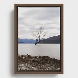 That Wanaka Tree in Winter // Otago NZ Photography Art Print Framed Canvas