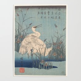Egret in Iris and Grasses, Hiroshige Poster
