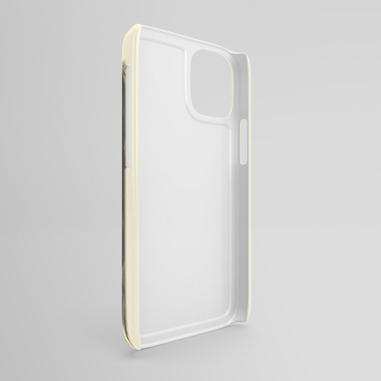 Với thiết kế đẹp mắt và chất liệu chắc chắn, case này là sự lựa chọn tuyệt vời cho người dùng iPhone